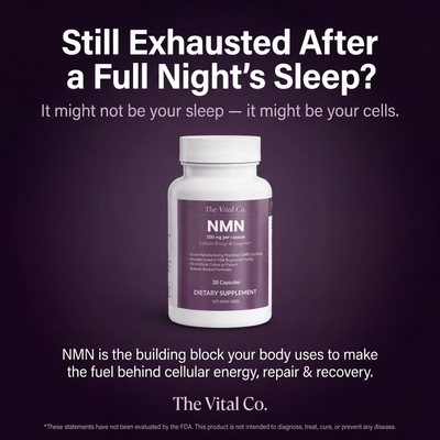 Vital NMN